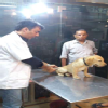New Delhi Veterinary Clinic Image 3