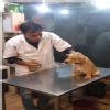 New Delhi Veterinary Clinic Image 1