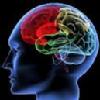 DR SIDDHARTH RAGHUVANSHI (Neurologist) Image 1