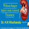 Dr Kharbanda Homeopathy Image 1