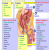 Doctors' Point, Tollygunj, Phone- 91630405537, 8100621444 Image 19