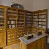 GVS Clinic Image 4
