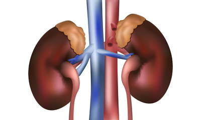 olanzapine interactions with omeprazole olanzapine and sleep