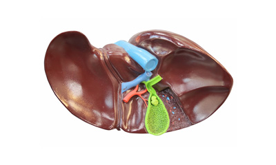 small business administration online courses